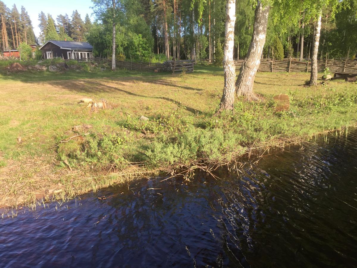 Grinderum Hallerum Экстерьер фото